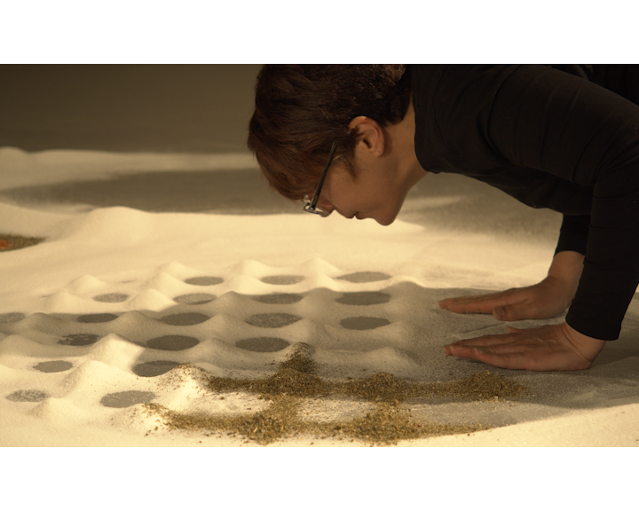 Mehrangiz Modarres Tabatabaei-PhD exhibition1.JPG.png