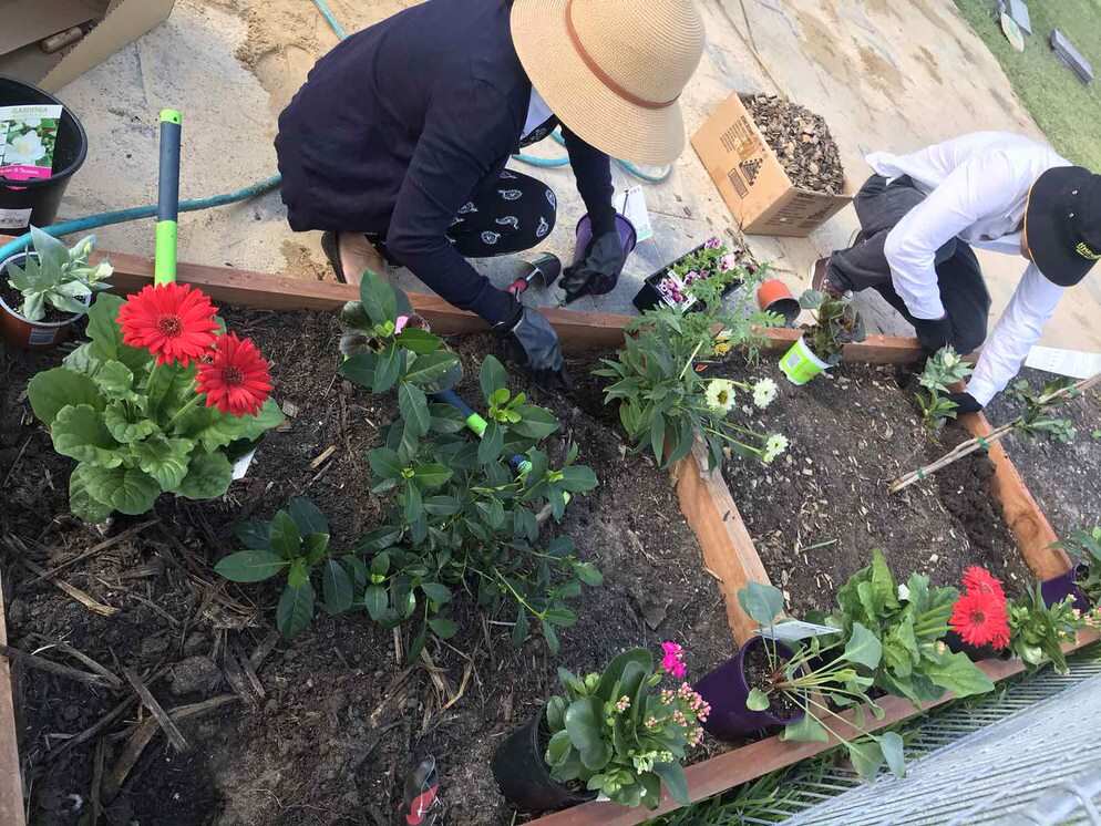 vuon cong dong 2.jpg