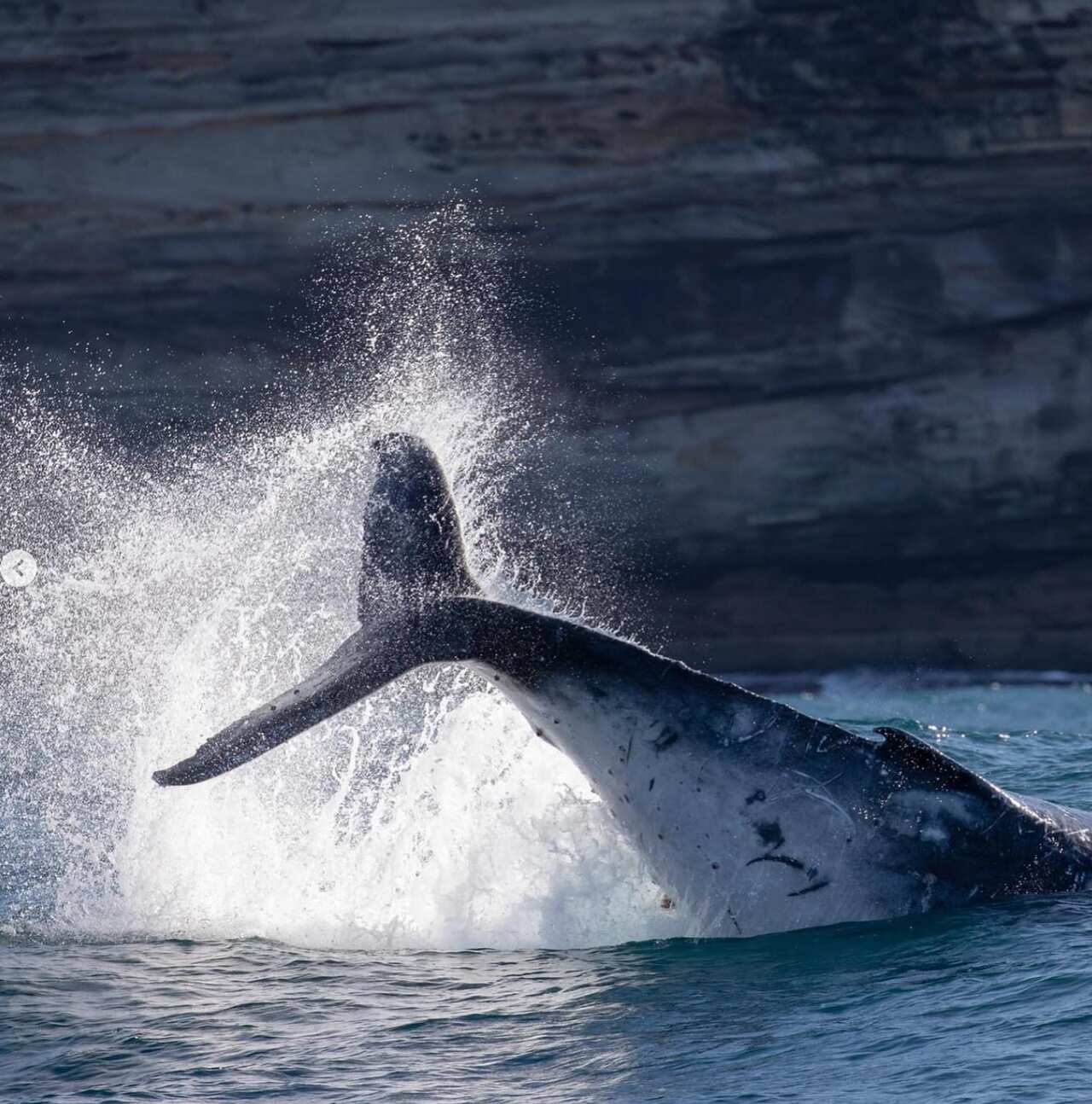 middle Screenshot 2023-05-22 at 12.15.32 pm.png