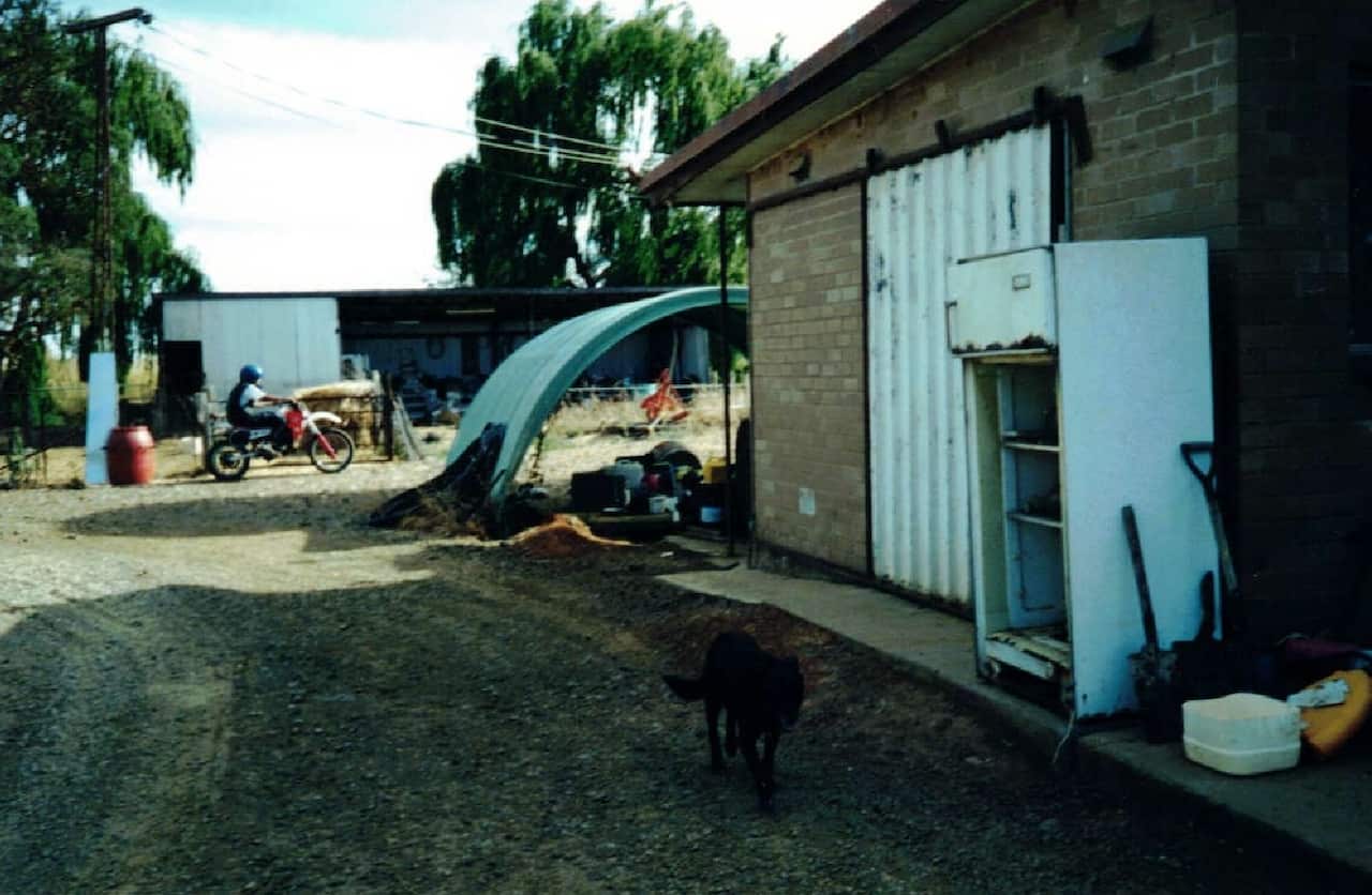 dog farm.jpg