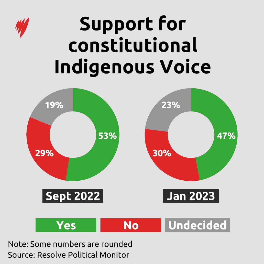 Indigenous Voice Support CANVA.jpg