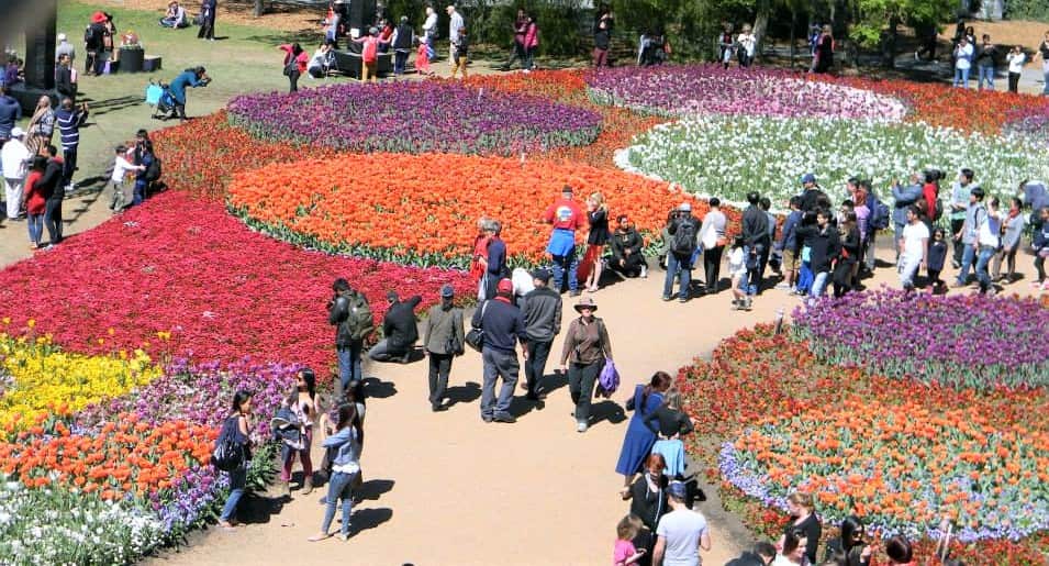 floriade Annalyn.jpg