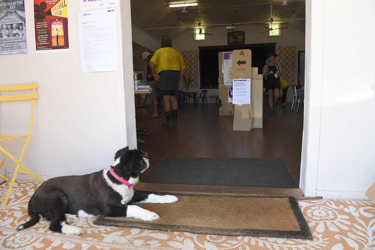 Australians Vote In Indigenous Voice To Parliament Referendum