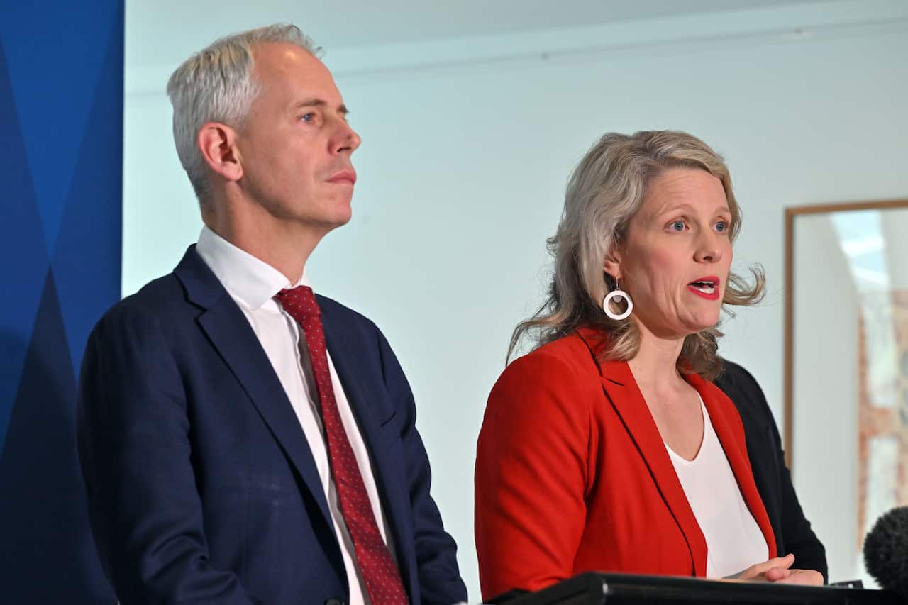 Clare O'Neil and Andrew Giles at a press conference.