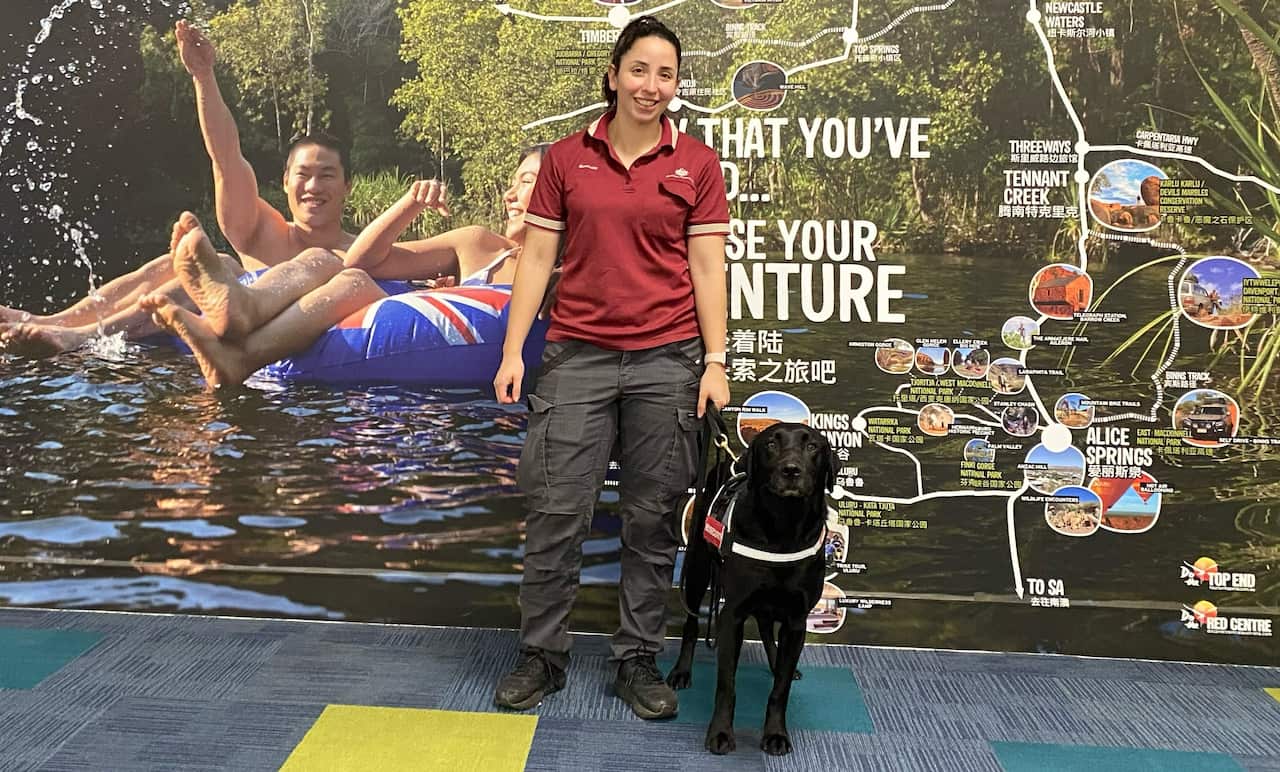 Detector Dog Zinta in Darwin with handler at Darwin airport