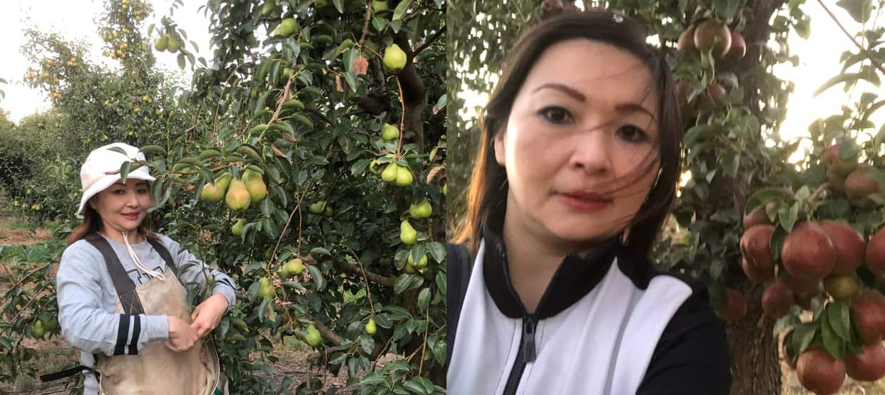 Sharon Ding.jpg