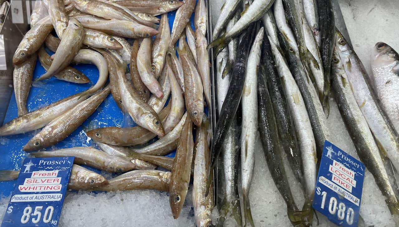 Tomaru54 カマス店頭 (2).jpg