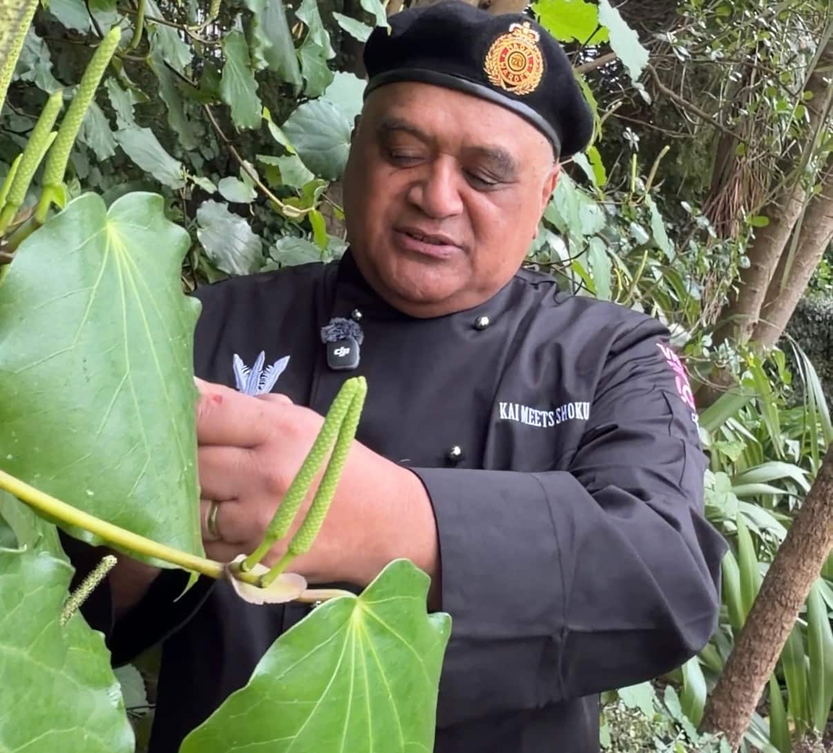 Joe McLeod foraging for kawakawa photo Rebecca Foreman.jpg
