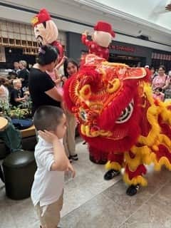 lion dance 2.jpg