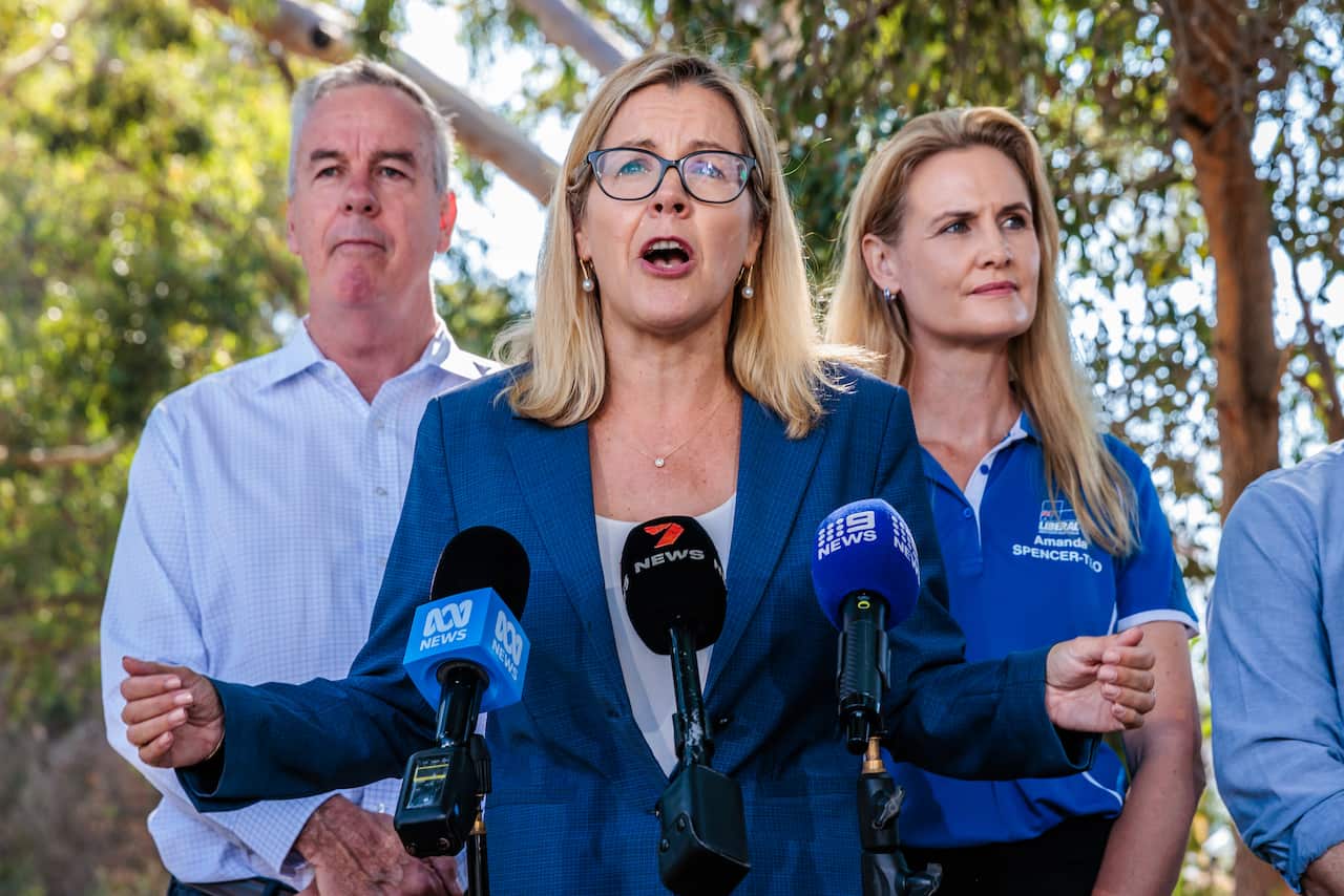 A woman standing outside in front of microphones and talking.  There is a man and a woman standing behind her