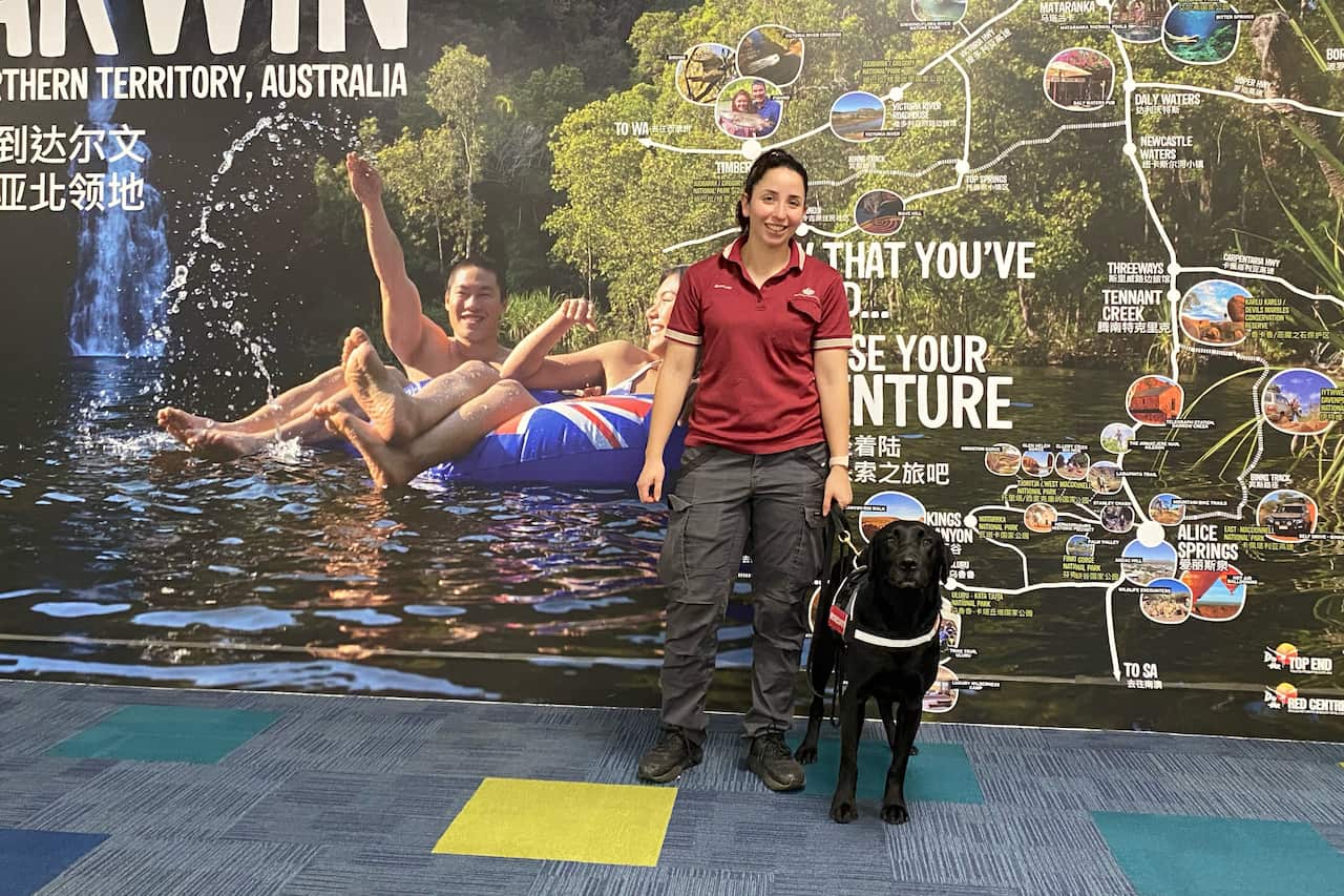 Detector Dog Zinta with handler at Darwin airport.