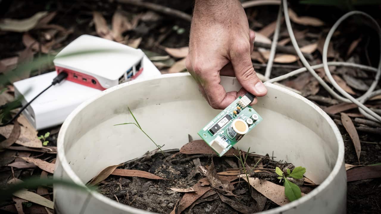 Cultural Burning Project.pdj.13.03.24.014.jpg