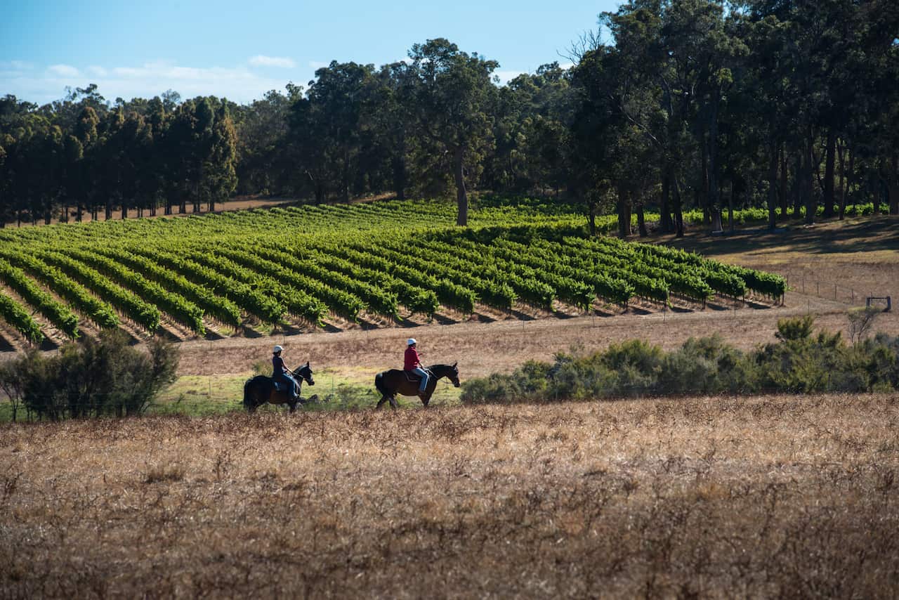 Horseback riding in Western Australia's wine country