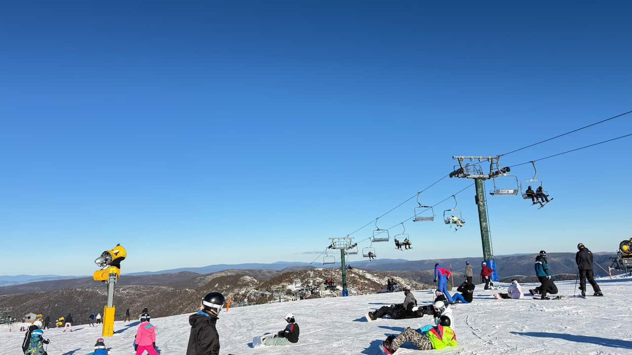 signal-2026-09-09-174944.jpeg