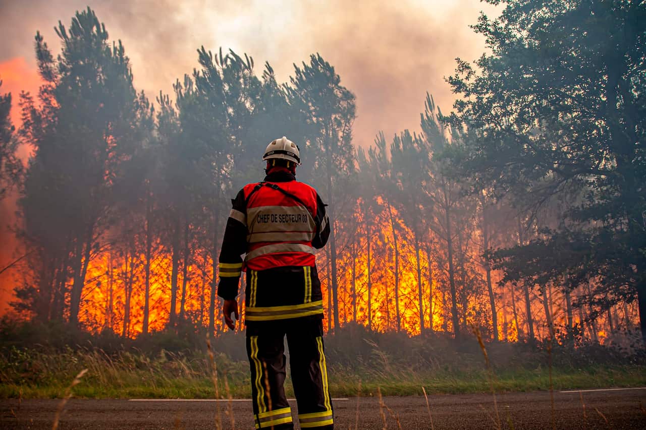 A firefighter stands in front of burning trees