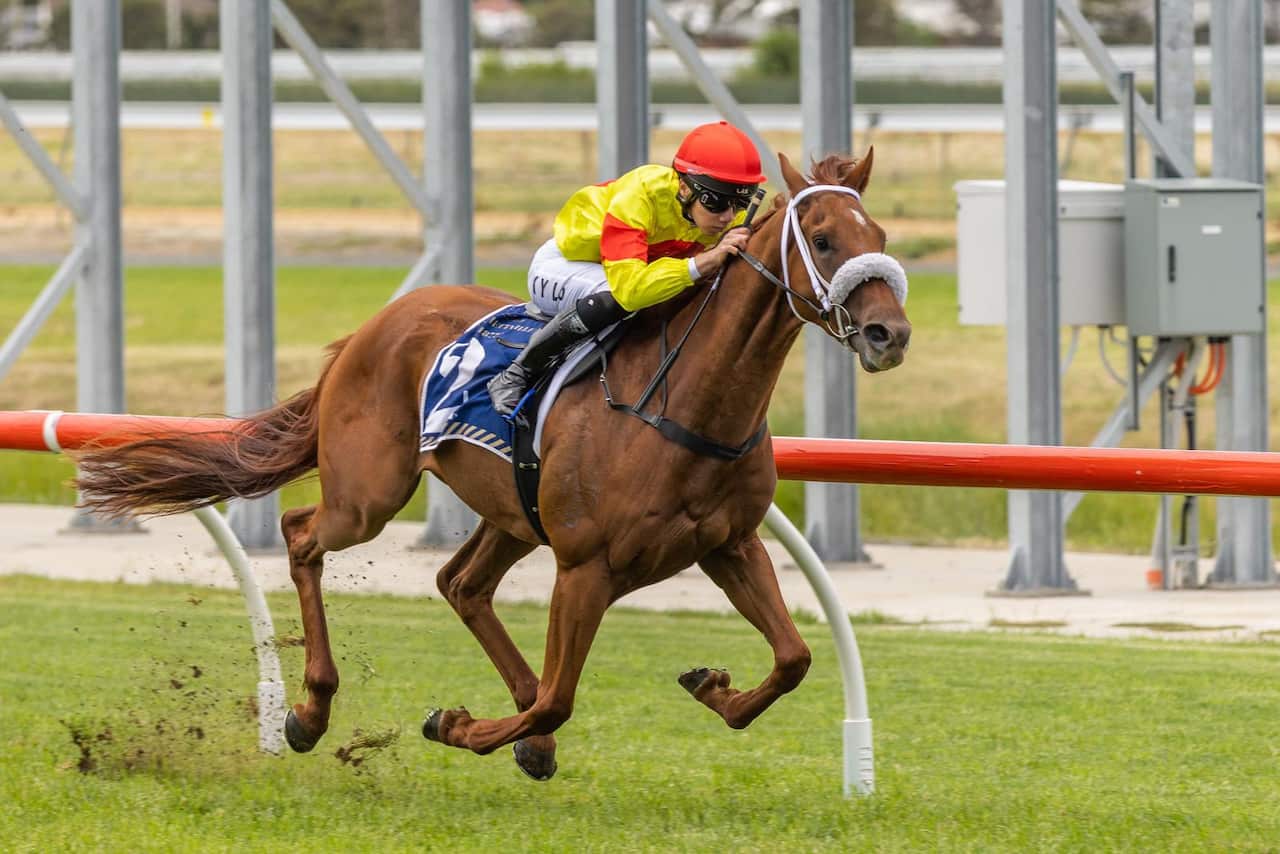 PHOTO-2022-09-29-12-08-08 3.jpg