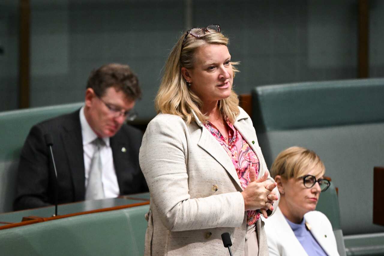 Kylea Tink speaks during Question Time