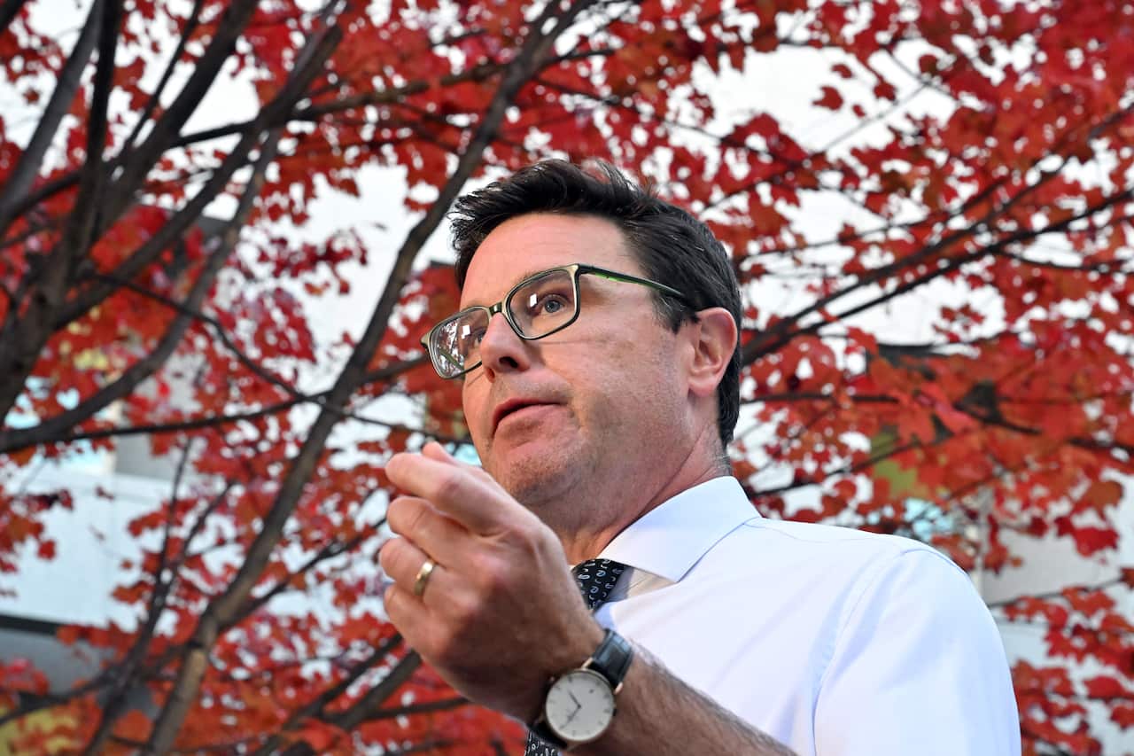 David Littleproud standing underneath red trees.