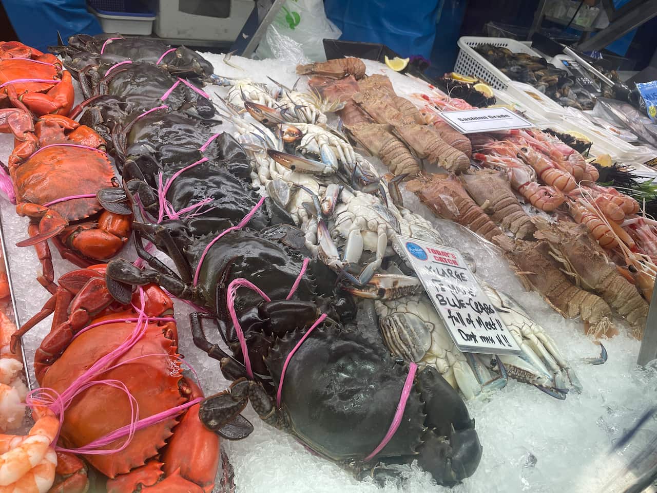 Prawns Lobesters.jpeg