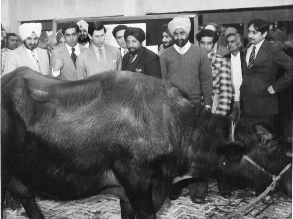 MicrosoftTeams-image (26).png