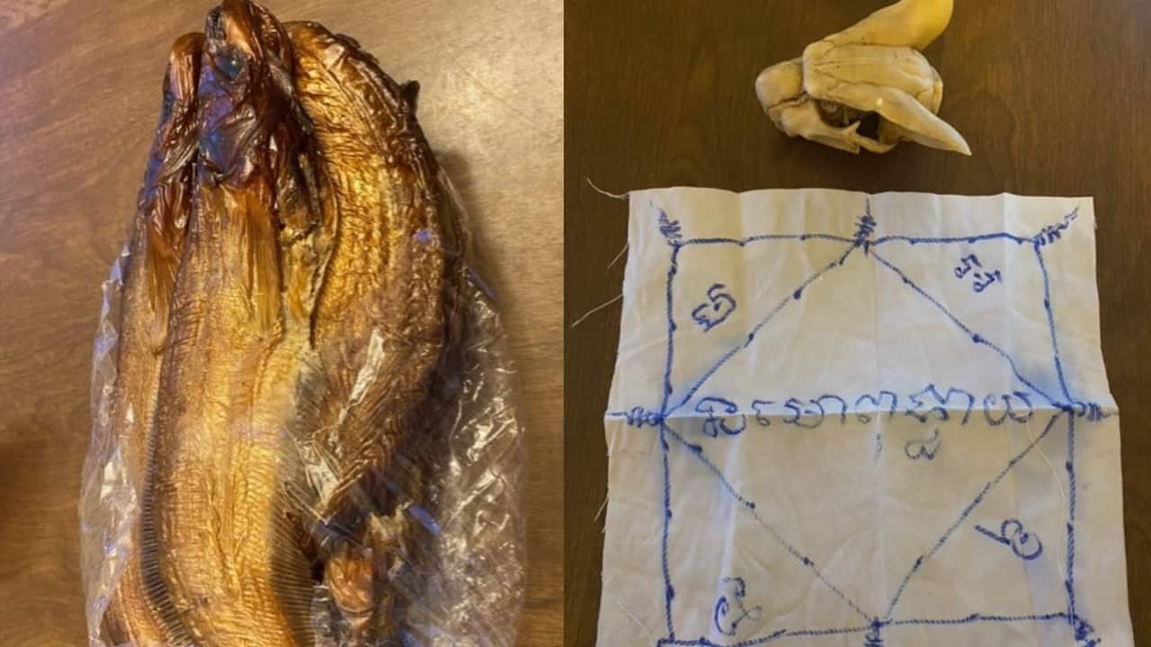 A composite image of fish wrapped in plastic a small animal skull and a piece of fabric with a diagram and symbols.