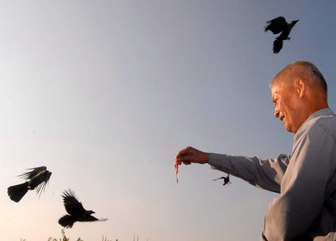 An elderly Nepali man offers raw meat to crows on Kaag Tihar, the first day of Tihar festival in Kathmandu, Nepal.