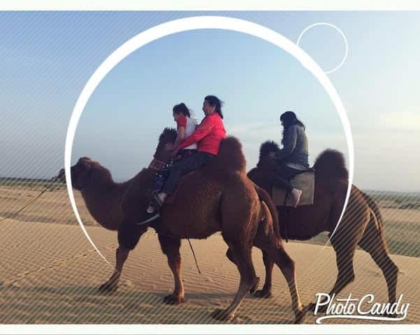 Fun in 2015 Bulgan monglian.jpg