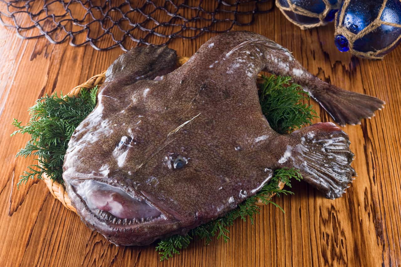 Monkfish