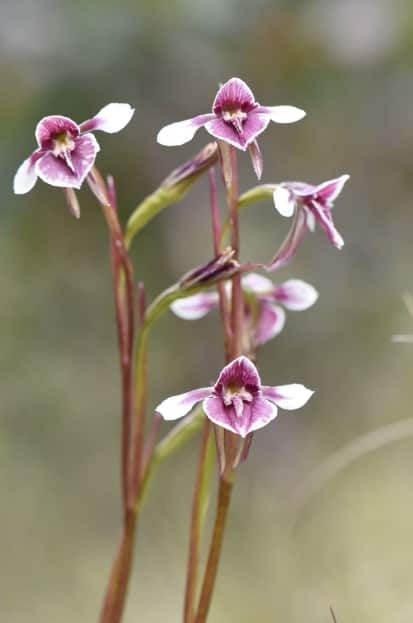 Annotation 2023-09-12 103317.jpg