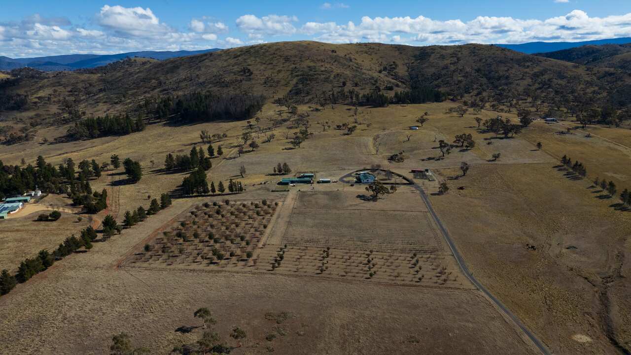 澳大利亚的农场梦，和黑松露产业一样，正在经历变迁。