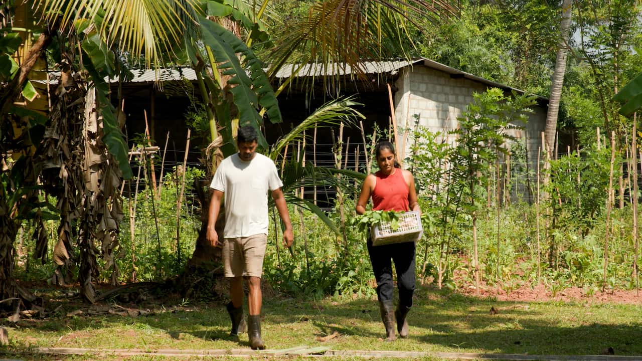 Two people working on a farm.