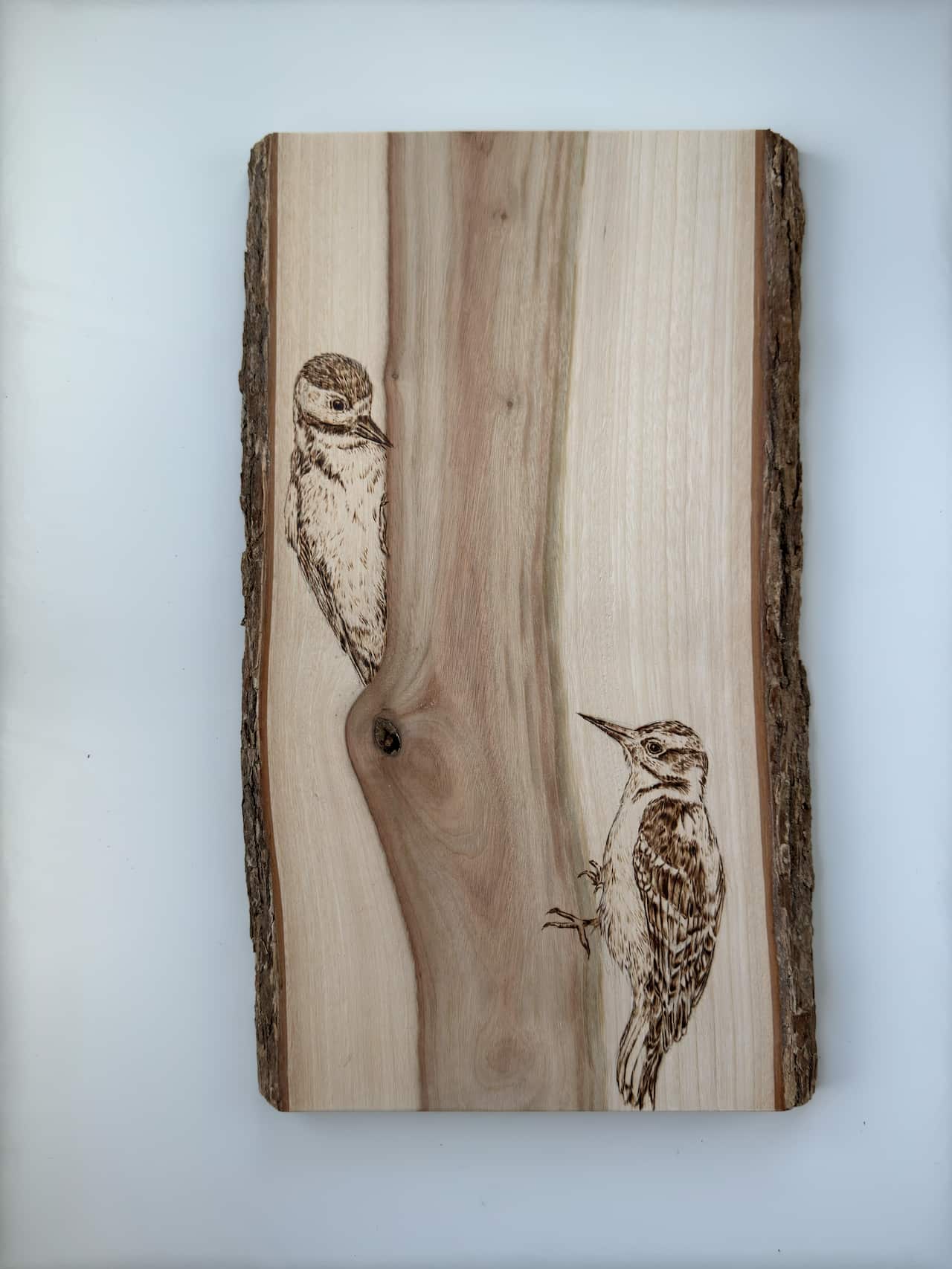 《穿越華萊士線》  Cross the Wallace line I love to keep the beauty of timber grain in composition.png