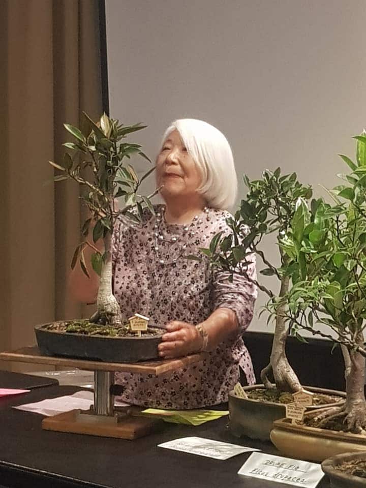 Japanese bonsai master Megumi Bennett