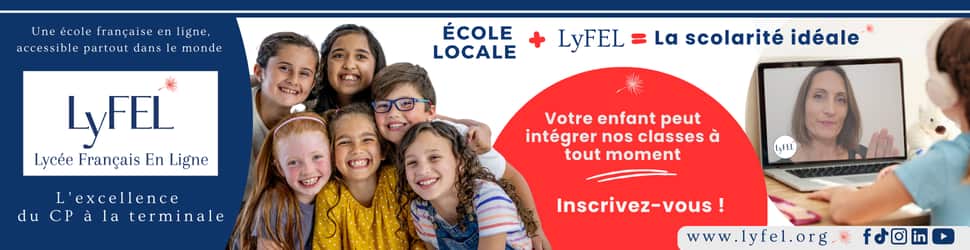 Banniere LyFEL Visuel Dec2024  1 (970 x 250 px) (1).png