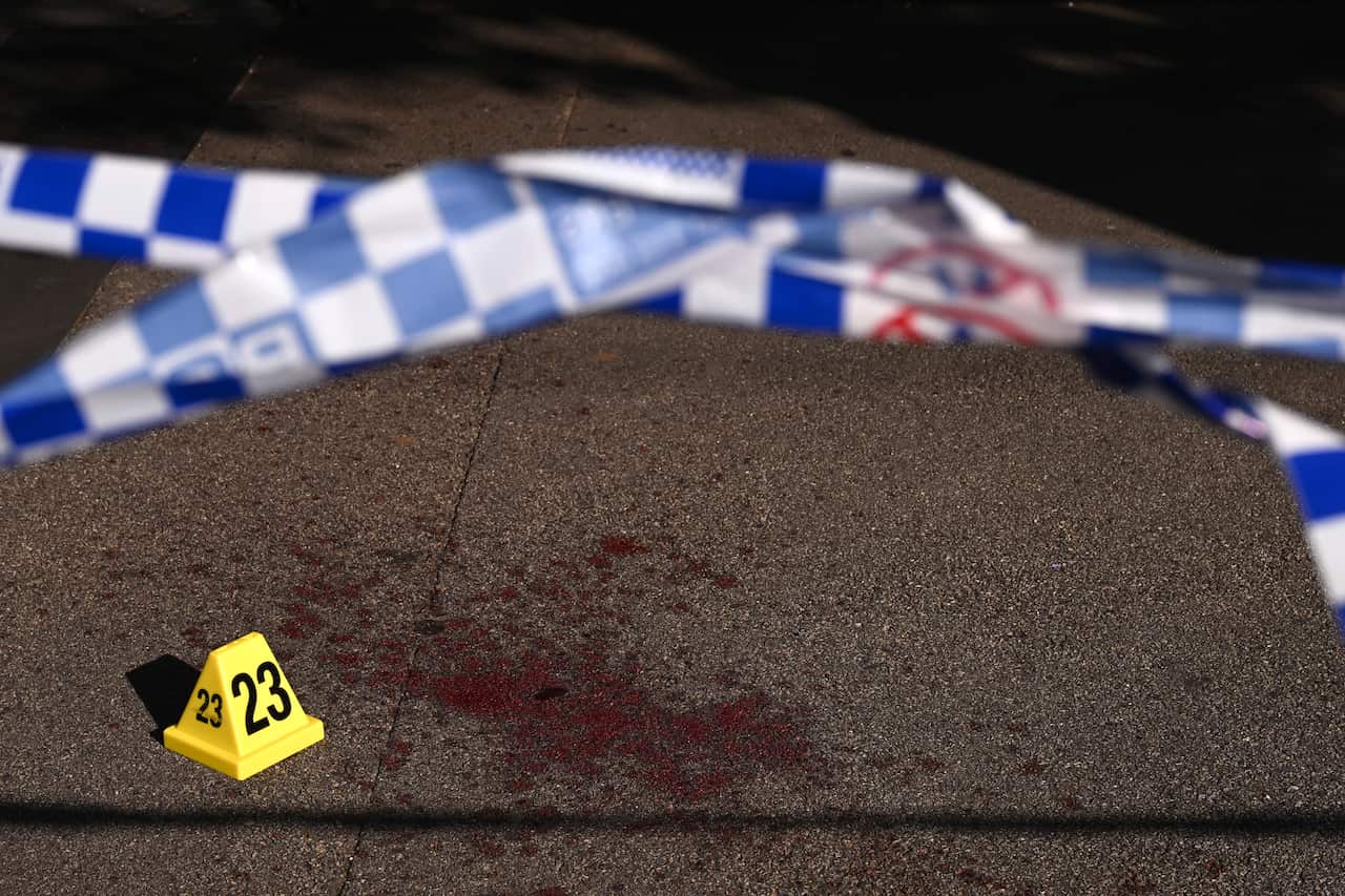 ASCOT VALE SHOOTING