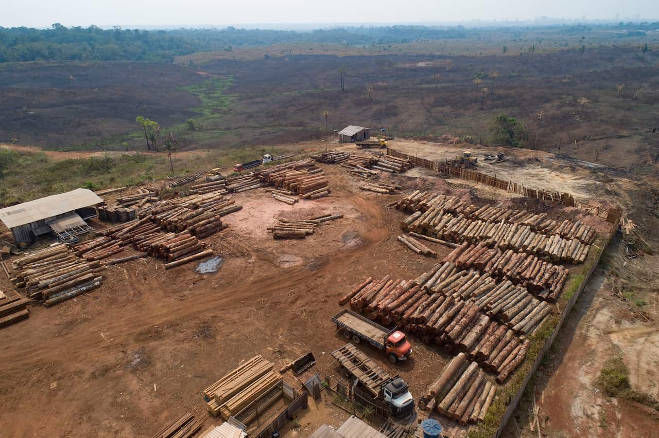 Logs are stacked at a lumber mill surrounded by recently charred and deforested fields near Porto Velho, Rondonia state, Brazil.