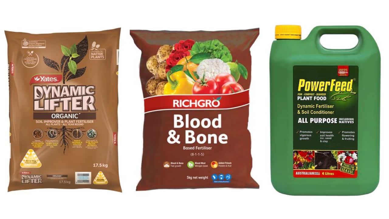 MicrosoftTeams-image (5).png