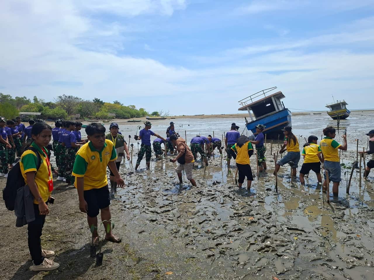 Penanaman mangrove oleh mahasiswa dari UGM, Universitas Pertahanan dan Dili Institute of Technology pada Kamis 23 Juli 2026. foto Karel.jpeg