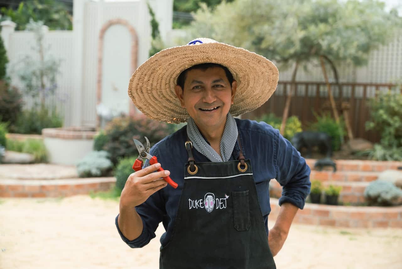 Duke จัดสวน.jpeg