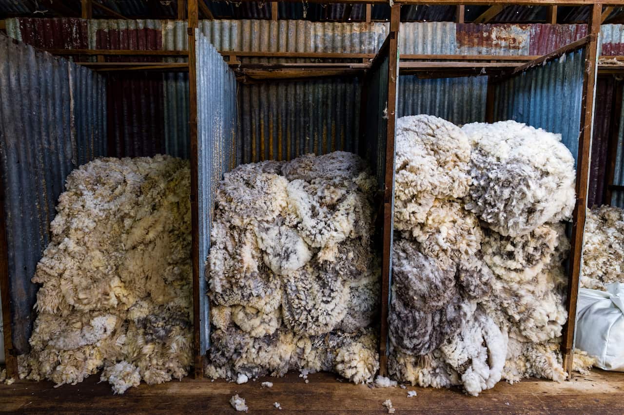 Sheep wool sorted into quality grades in a shearing shed.