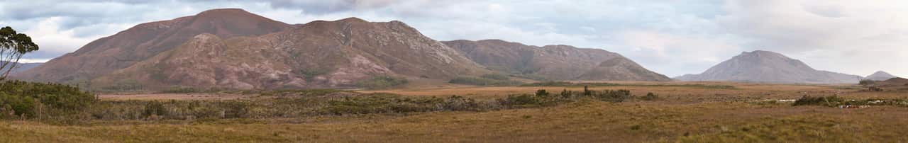 Bathurst_Range_-_Melaleuca.jpg