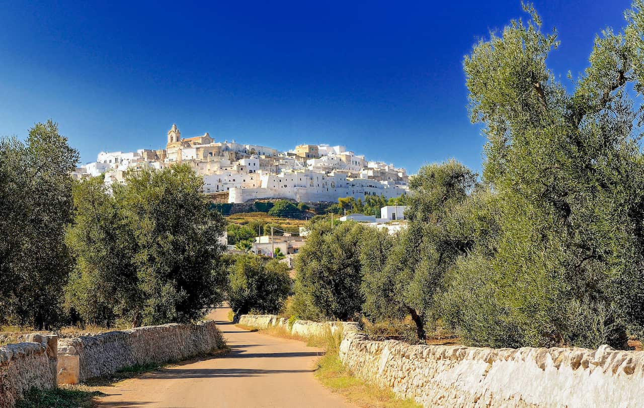 Italy, Apulia, Itria Valley, view of Ostuni from the olive groves