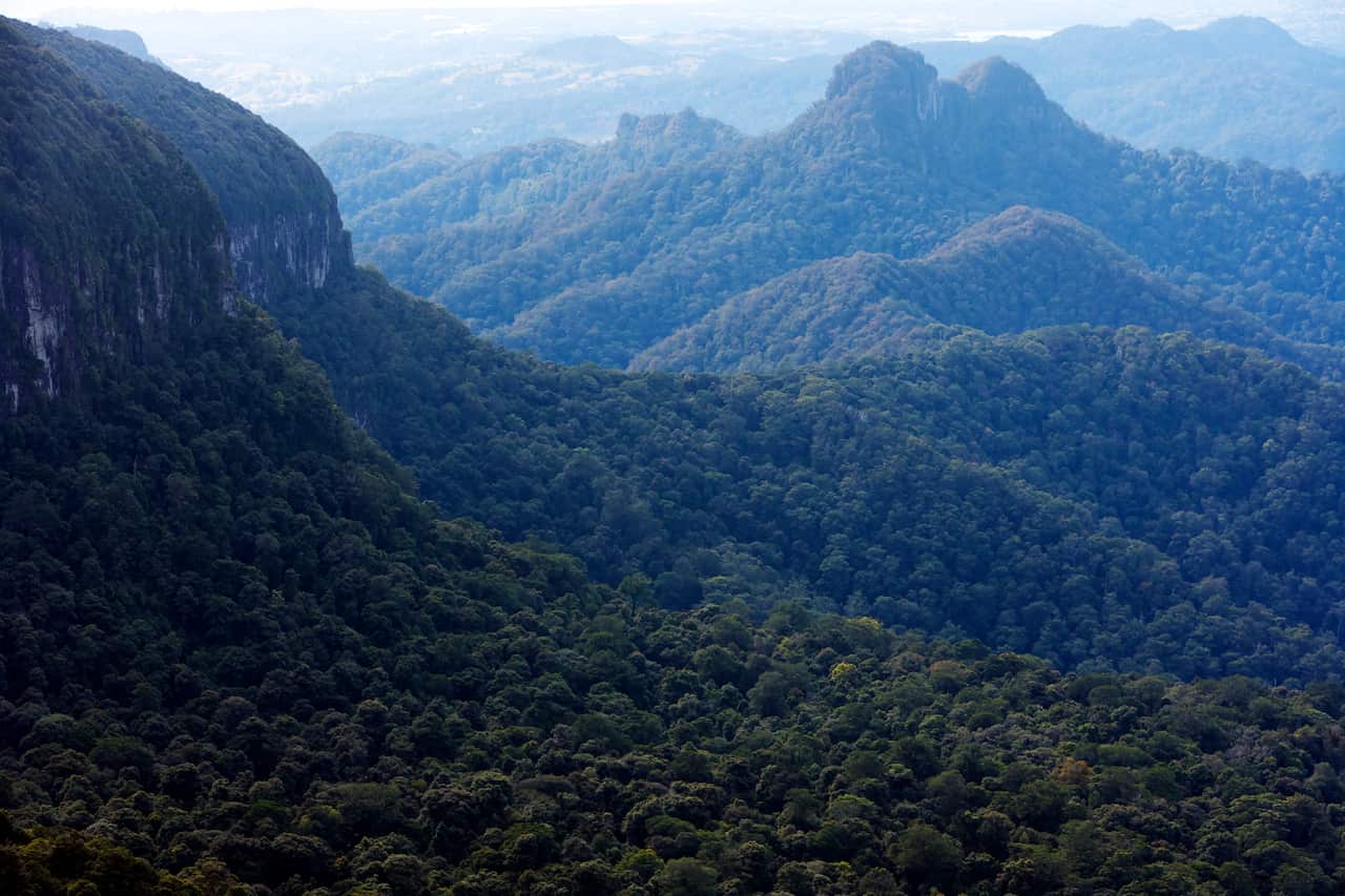 Scenic Rim from The Best ofÃ¡All Lookout.