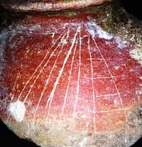 Puthukkottai Archeology