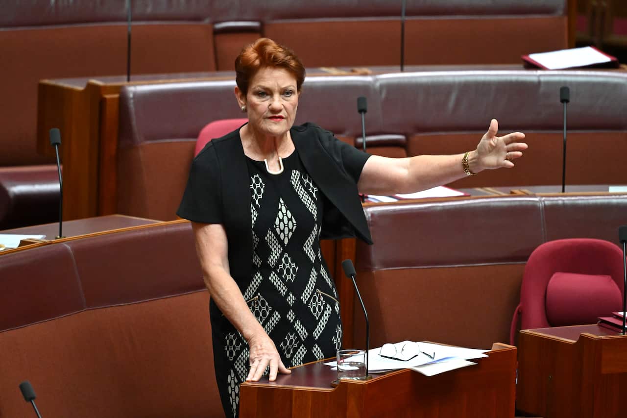 Pauline Hanson speaking in the Senate.