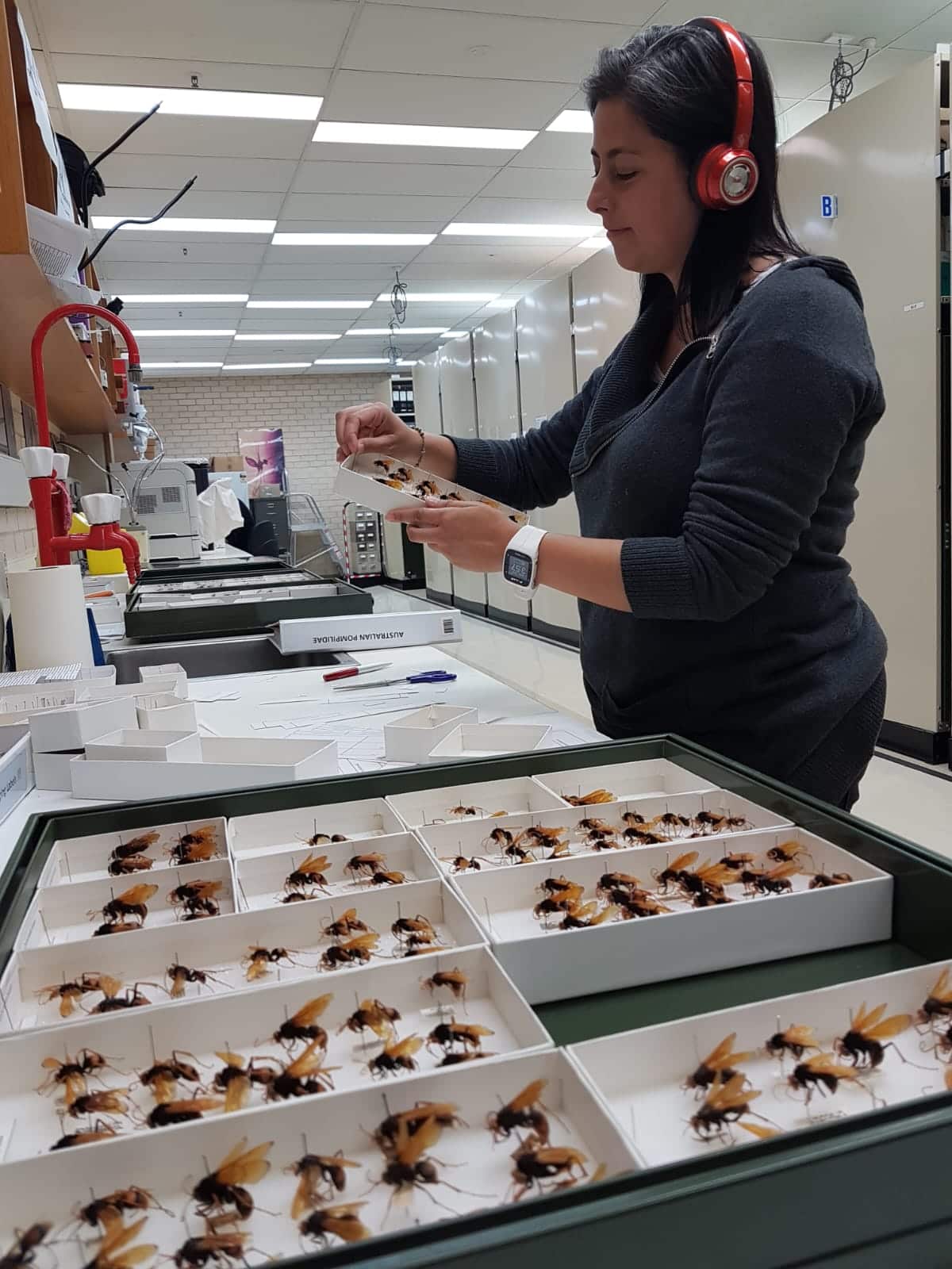 Juanita Rodríguez.jpeg