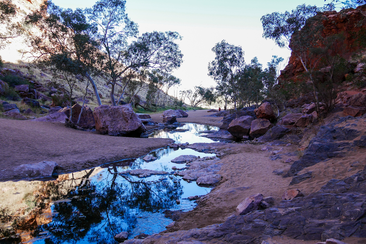 8a45c705-a1de-4aa0-b639-8df7f0b7655b.jfif