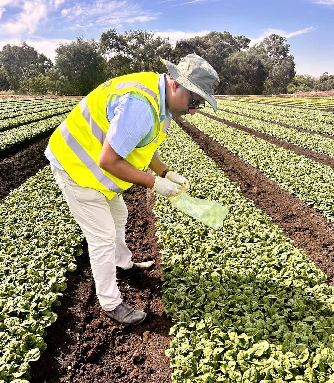 SP Singh_IMG_1889.jpg