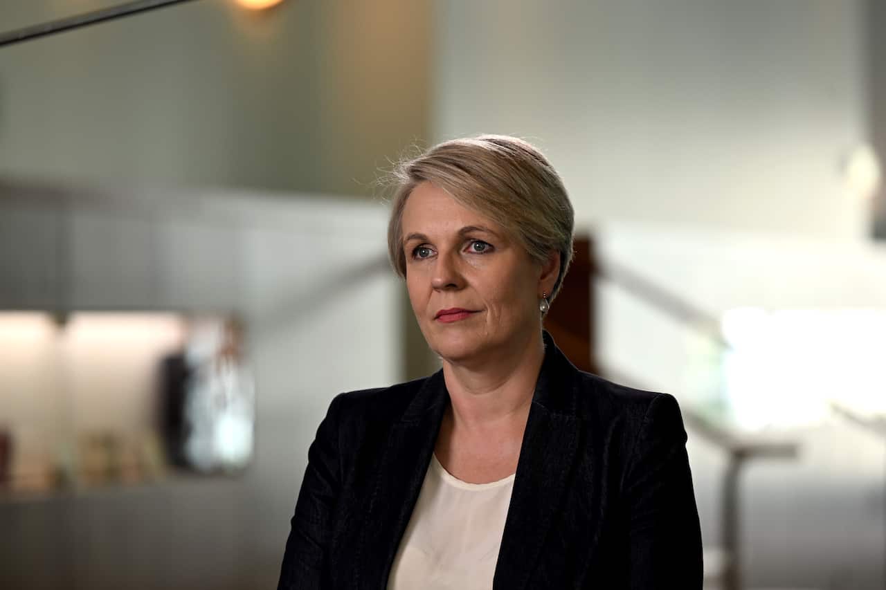 Tanya Plibersek is pictured at Parliament House in Canberra. 