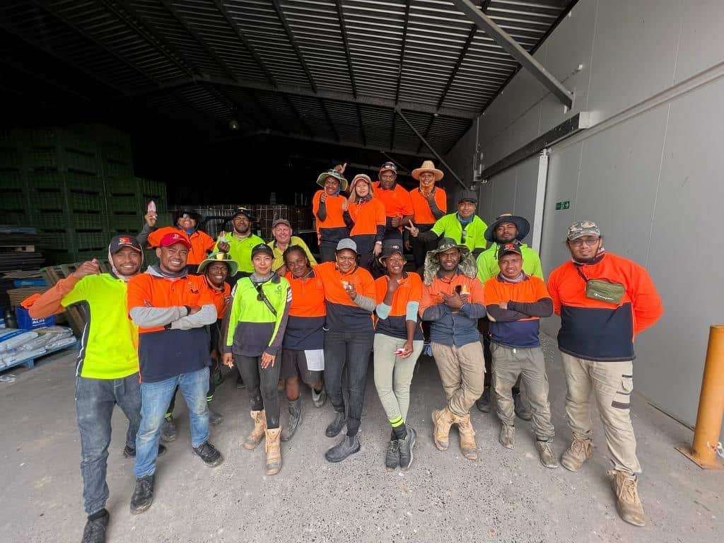 Traballador timoroan nain hat hamutuk ho traballador husi nasaun Pasifiku ne'ebe mak agora servisu ba kompañia Icomply